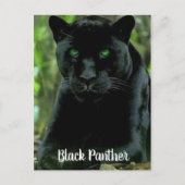 Slank zwart Pantherkat met groene ogen Briefkaart (Voorkant)