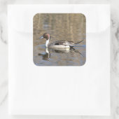 Slanke Eend Zwemt In Een Vijver Vierkante Sticker (Tas)