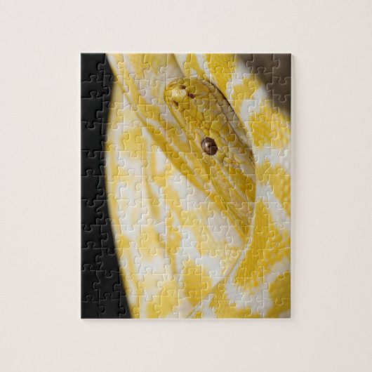 Slanke-foto van close-up legpuzzel (Verticaal)