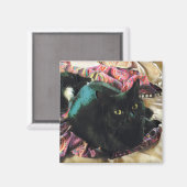 Slanke magneetmagneet voor Kat Magneet (Voorkant / Achterkant)