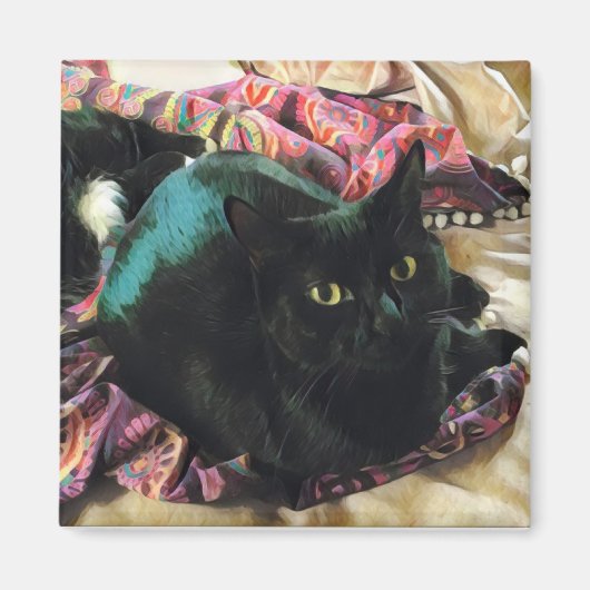 Slanke magneetmagneet voor Kat Magneet (Voorkant)