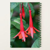 Slanke Rode Fuchsia Bloemen Bloemstuk Notitieboek (Achterkant)