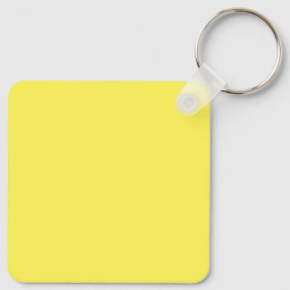 Slanke roestvrijstalen sleutelhanger