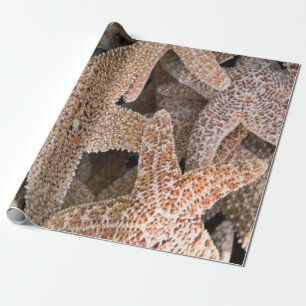 Slanvis overal cadeaupapier
