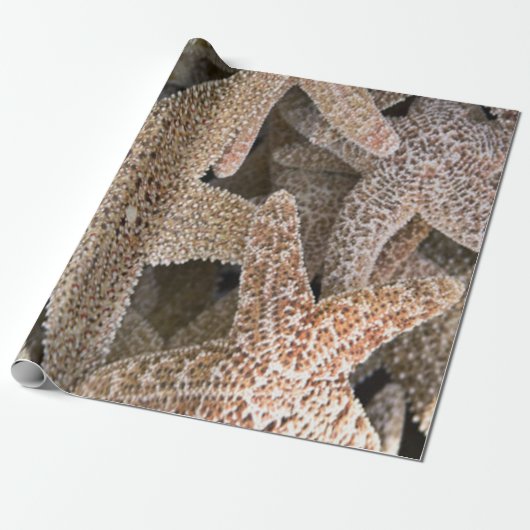 Slanvis overal cadeaupapier (Uitgerold)