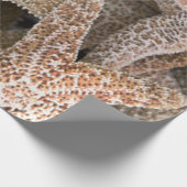 Slanvis overal cadeaupapier (Hoek)