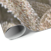 Slanvis overal cadeaupapier (Rol Hoek)