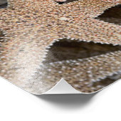 Slanvis overal foto afdruk (Hoek)