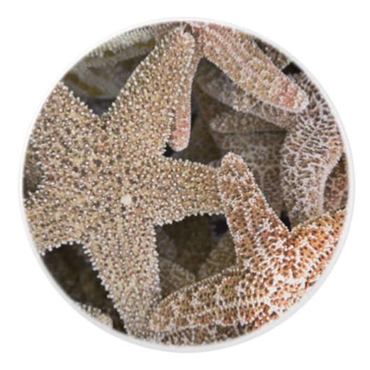 Slanvis overal keramische knop (Voorkant)