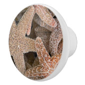 Slanvis overal keramische knop (Rechts)