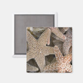 Slanvis overal magneet (Voorkant / Achterkant)
