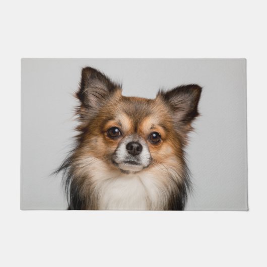 Slanzend chihuahua-portret deurmat (Voorkant)