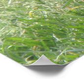 Slapduif afdrukken poster (Hoek)