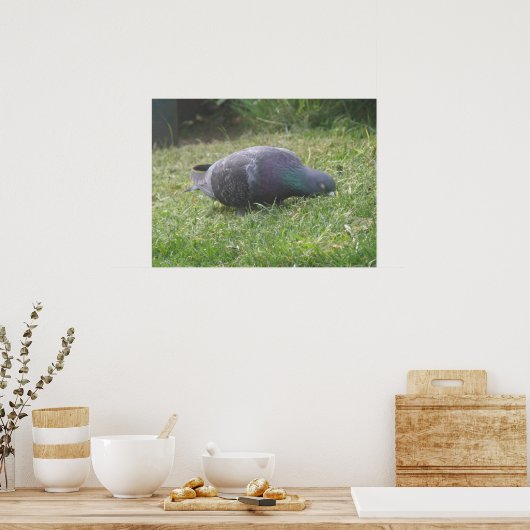 Slapduif afdrukken poster (Keuken)