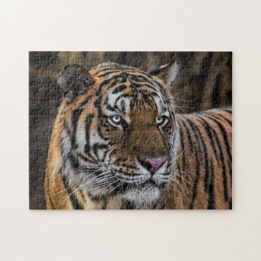 Slapek Tiger Wildcat Face Legpuzzel (Horizontaal)