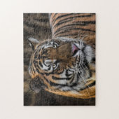 Slapek Tiger Wildcat Face Legpuzzel (Verticaal)