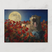 Slapeloosheid Briefkaart (Voorkant)