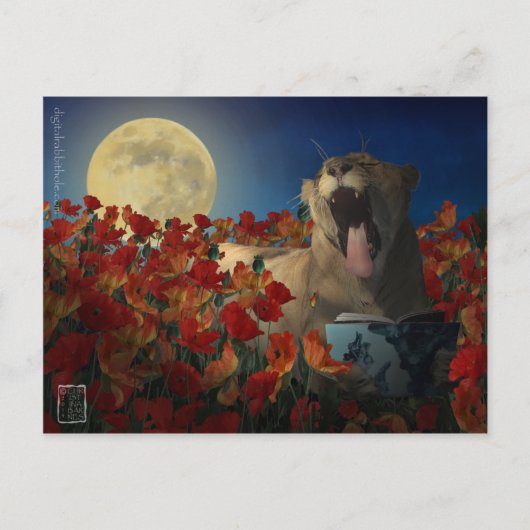 Slapeloosheid Briefkaart (Voorkant)