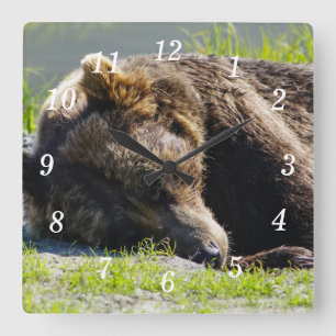 Slapen Alaska Grizzly Beren wandklok