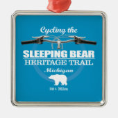 Slapen Beer HT (H2) Metalen Ornament (Voorkant)