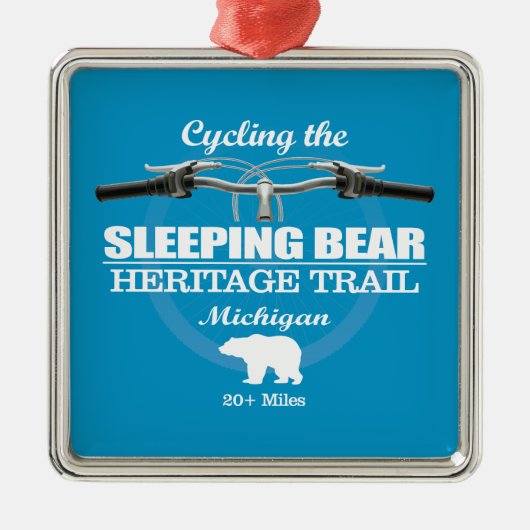 Slapen Beer HT (H2) Metalen Ornament (Voorkant)