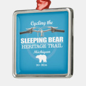 Slapen Beer HT (H2) Metalen Ornament (Links)