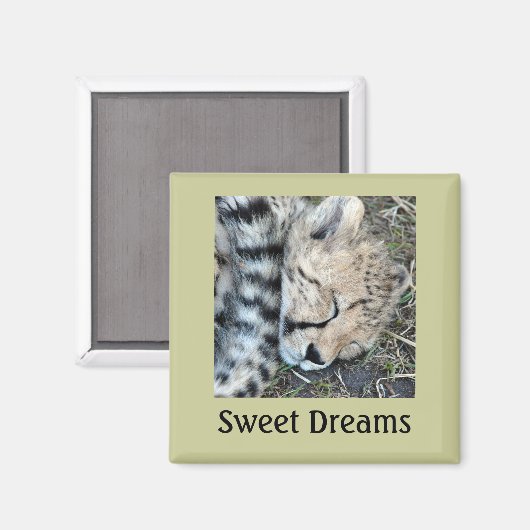 Slapen Cheetah Cub Foto Magneet (Voorkant / Achterkant)
