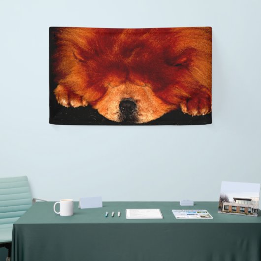 Slapen Chow BNRCNM Spandoek (Beurs)