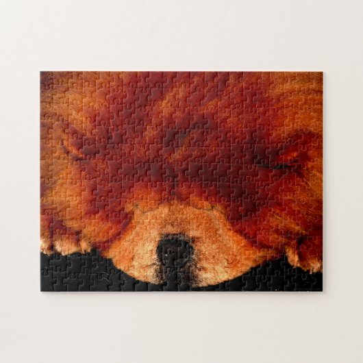 Slapen Chow Chow 11x14 252pc jpcna Legpuzzel (Horizontaal)