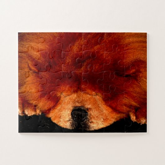 Slapen Chow Chow 11x14 30pc jpcna Legpuzzel (Horizontaal)