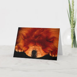 Slapen Chow Chow gccna Kaart