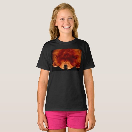 Slapen Chow Chow gccna T-shirt (Voorkant volledig)