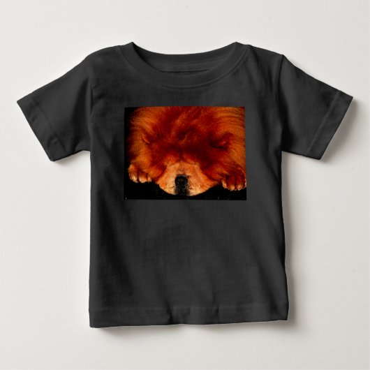 Slapen Chow Chow iccnm (Voorkant)