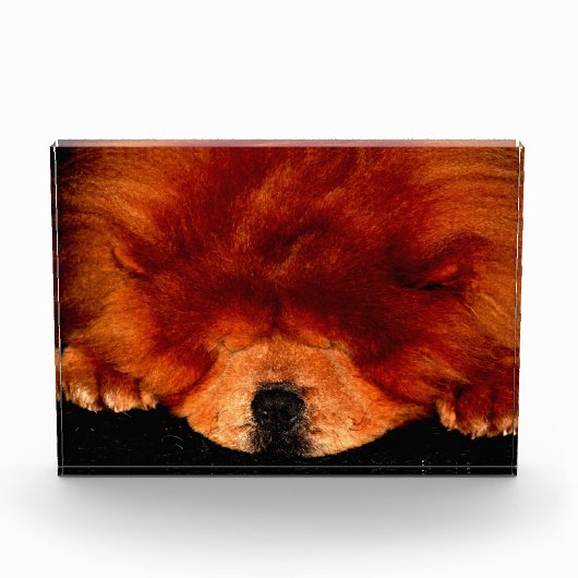 Slapen Chow Chow PBCNM Fotoblokken (Voorkant)