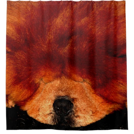 Slapen Chow Chow sccnm Douchegordijn (Voorkant)