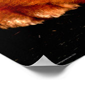 Slapen Chow Chow Wapcnm Poster (Hoek)