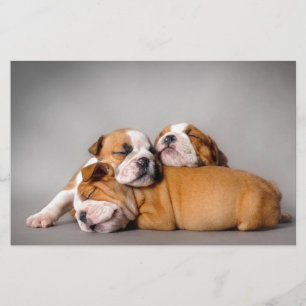 Slapen Engels bulldog puppies Briefpapier