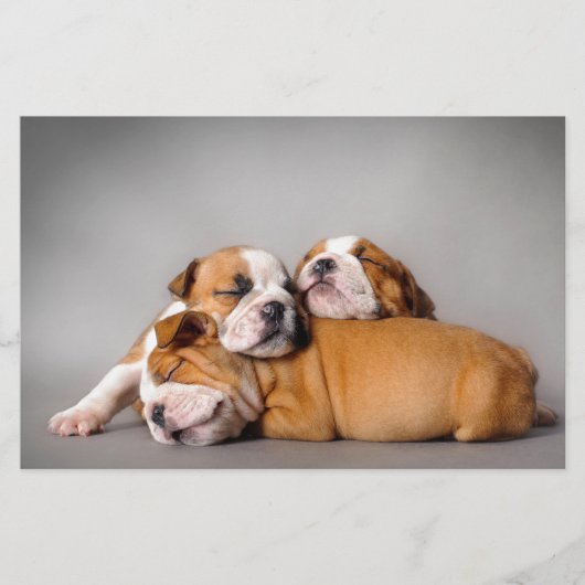 Slapen Engels bulldog puppies Briefpapier (Voorkant)