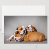 Slapen Engels bulldog puppies Briefpapier (Voorkant / Achterkant)