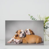 Slapen Engels bulldog puppies Briefpapier (Staand voorkant)