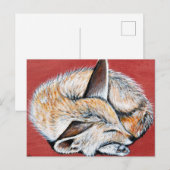 Slapen Fennec Fox schilderij Briefkaart (Voorkant / Achterkant)