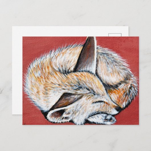 Slapen Fennec Fox schilderij Briefkaart (Voorkant / Achterkant)