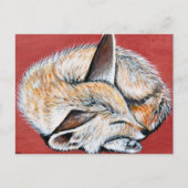Slapen Fennec Fox schilderij Briefkaart (Voorkant)