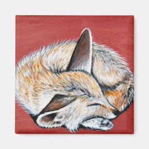 Slapen Fennec Fox schilderij Magneet