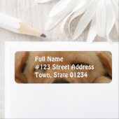 Slapen Golden Retriever Mailing Label (Insitu)