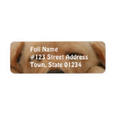 Slapen Golden Retriever Mailing Label (Voorkant)