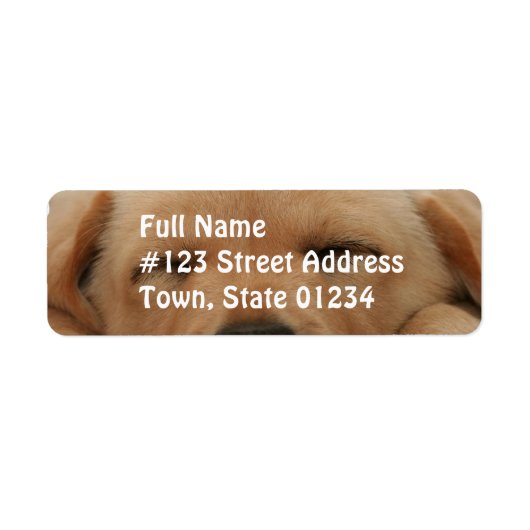 Slapen Golden Retriever Mailing Label (Voorkant)