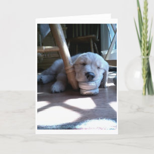 Slapen Golden Retriever Puppy Kaart