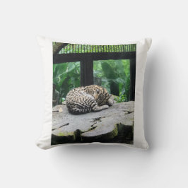 Slapen Grote Kat Kussen