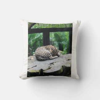 Slapen Grote Kat Kussen